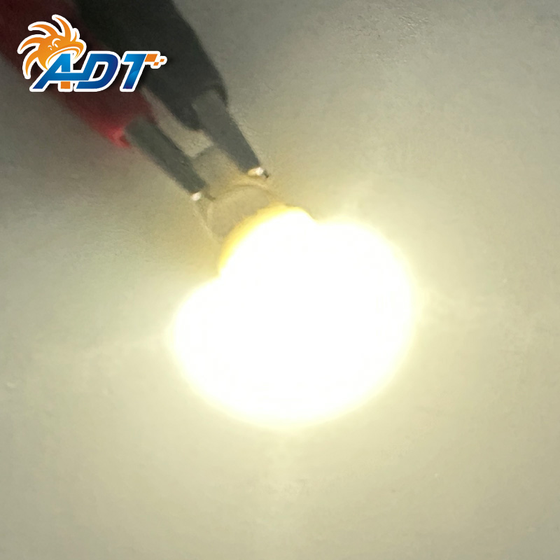 194SMD-P-2FW(Frosted)